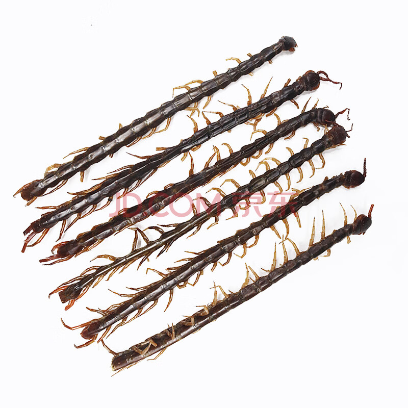 中药材蜈蚣肉无竹签蜈蚣干50g蜈公皮大整条不碎可磨粉