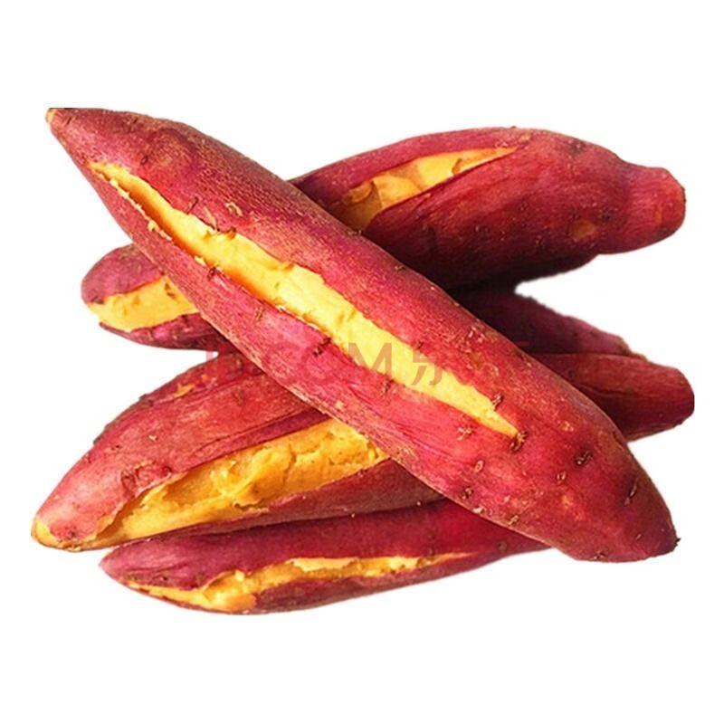 月域 陕西临潼沙土种植板栗红薯 粉糯香地瓜 3斤(品鉴装)