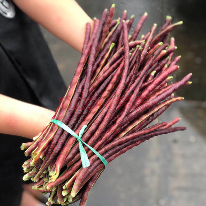 【平价菜场】苏北现摘现发新鲜红豆角七寸红豇豆紫长豆角蔬菜应季蔬菜