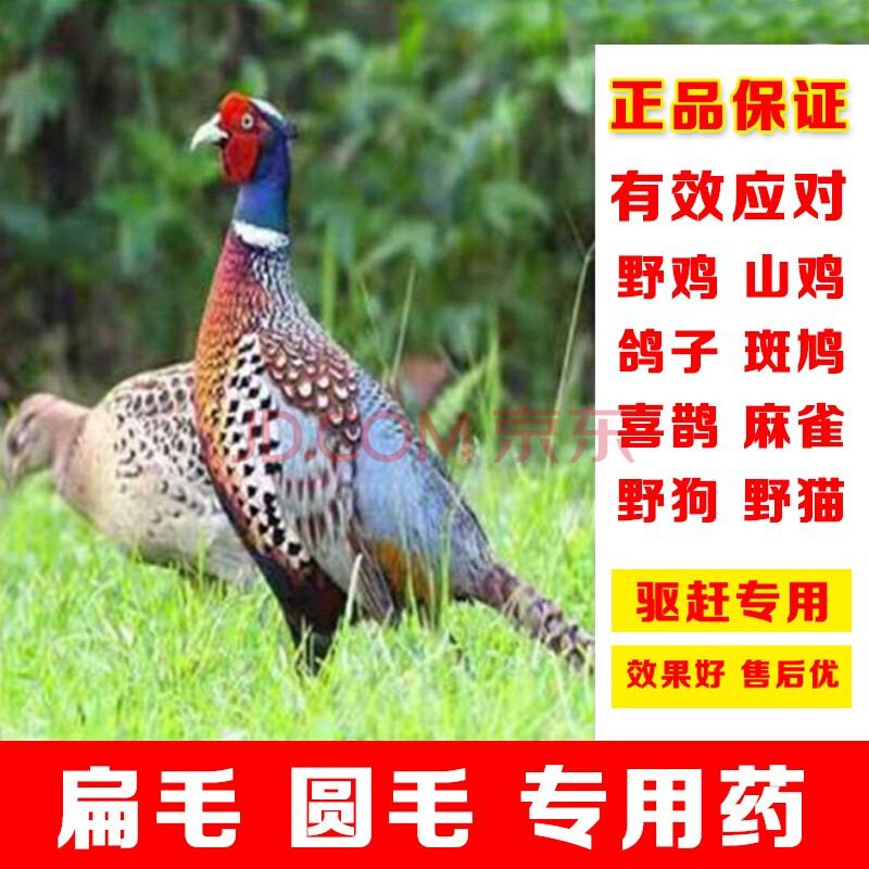 扁毛驱鸟药驱鸟神器果园专用鸟药专用驱鸽子喜鹊麻雀户外驱鸟剂 50克