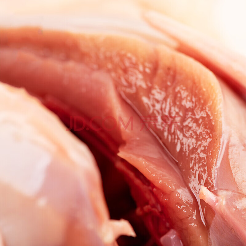 棠鲜生乳鸽生鲜鸽子农家喂养土鸽子汤乳鸽子肉新鲜现杀 4只