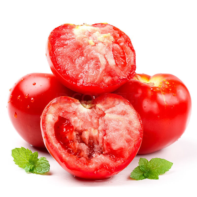 地头批发价新鲜露天大西红柿新鲜蔬菜农家番茄孕妇水果多规格批发