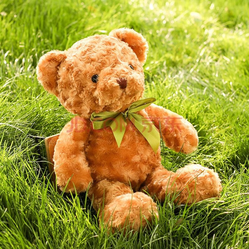 泰迪熊公仔小号泰迪熊公仔毛绒玩具女生白色小熊玩偶可爱抱抱熊宝睡觉