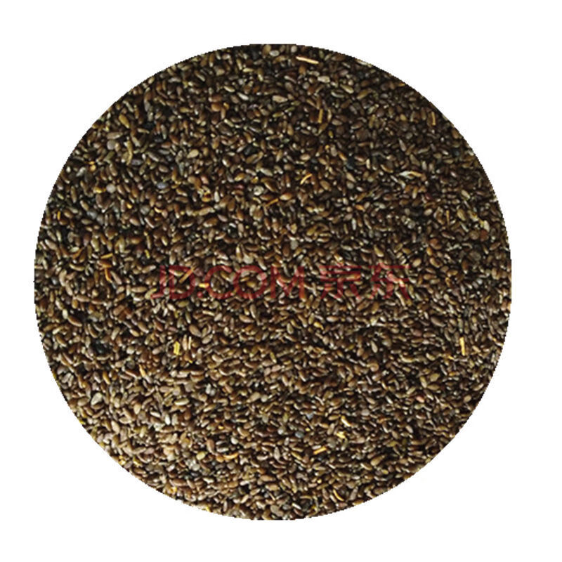 沙蒿子沙蒿种子牧草种子多年生薄蒿草荒漠蒿籽生态植物种子沙蒿种子