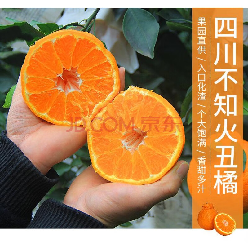 春见和丑八怪哪个好看一点(春见和丑橘的区别)