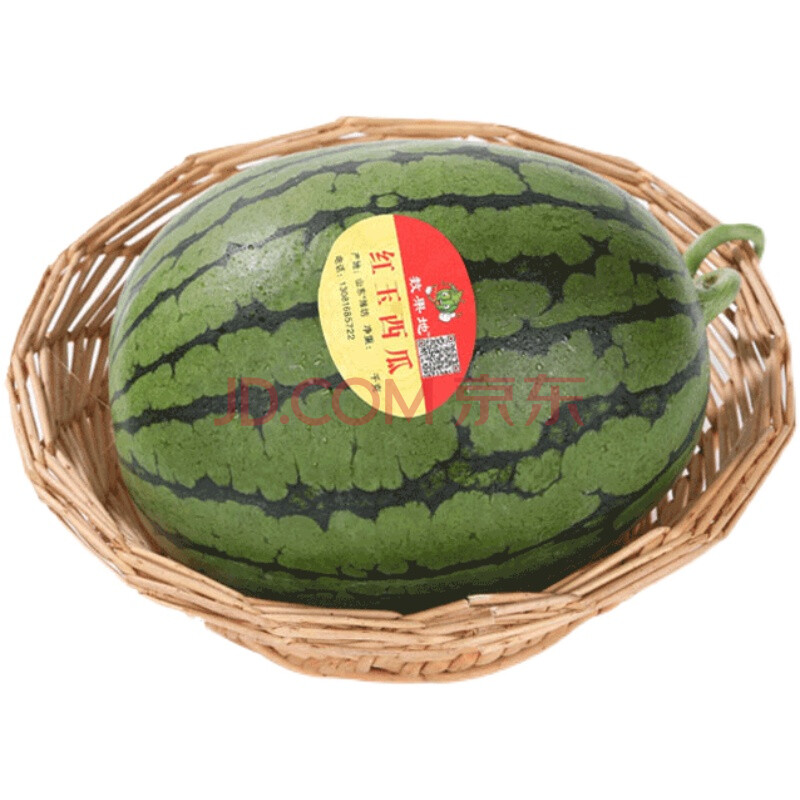 潍坊寒亭固堤西瓜水果新鲜早春红玉2k沙红瓤早熟脆 10斤