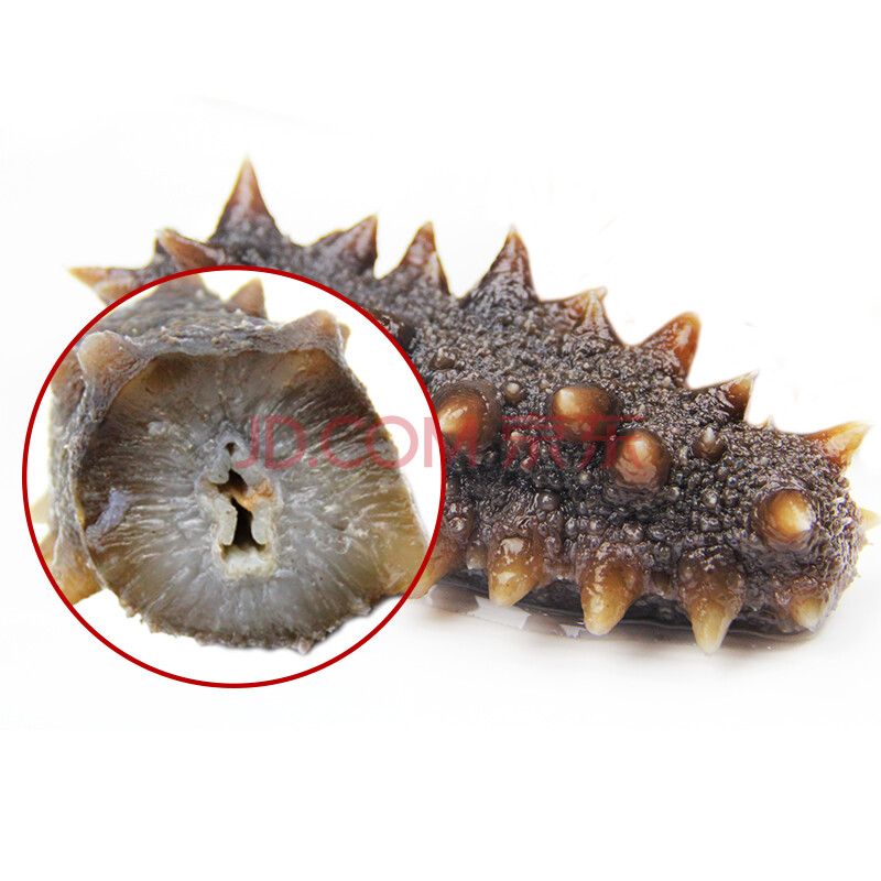 张奶奶海参大连即食海参500g单个装独立包装鲜活刺参辽参深海礼盒