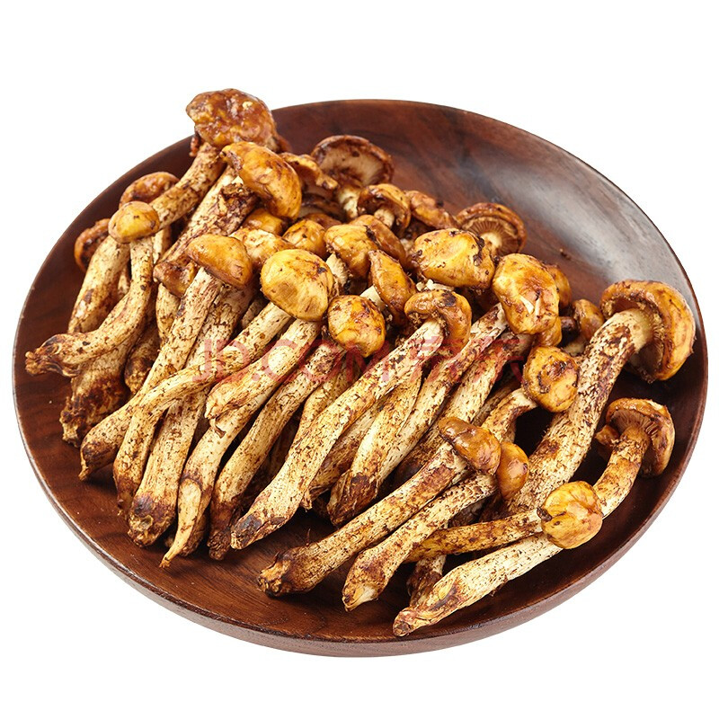 新鲜云南 虎松茸 菌蘑菇食用菌煲汤食材菇类菌子菌类 虎松茸500g