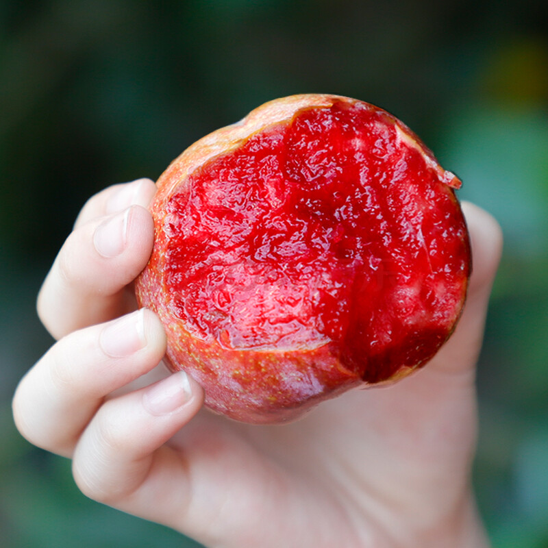 顺丰直达智利凤凰李大果红心李子新鲜水果血丝李澳洲现摘 5斤(智利