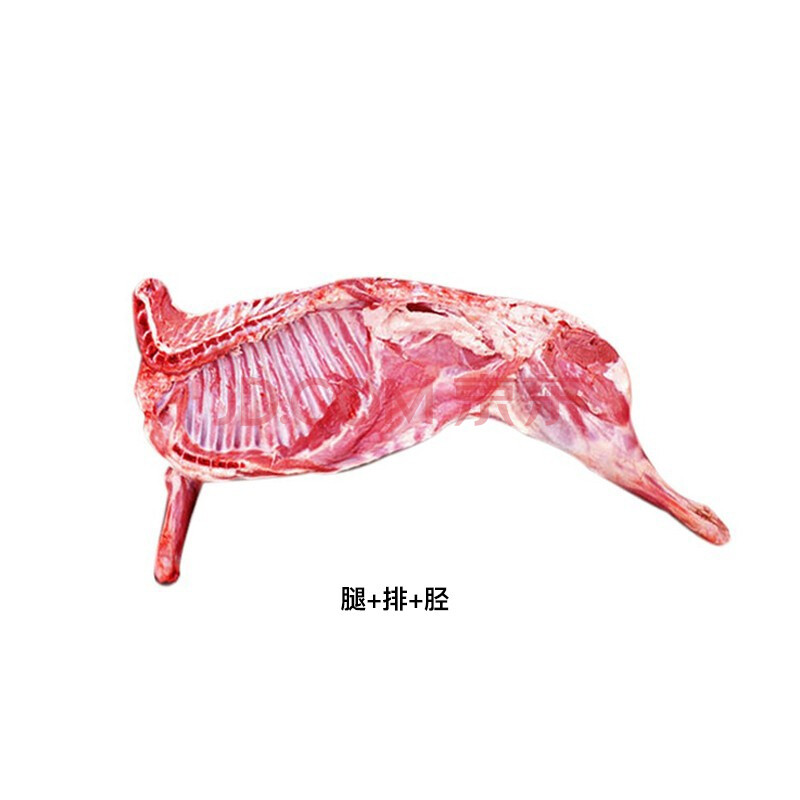 狄鲜 新疆羊肉 生鲜 新鲜现杀半只羊 羊腿羊排 羊蝎子 烧烤火锅食材腿