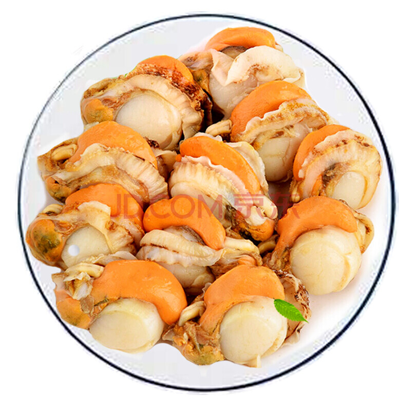 棠鲜生 新鲜大个扇贝肉海鲜火锅烧烤食材蒜蓉粉丝无冰衣扇贝肉5斤装