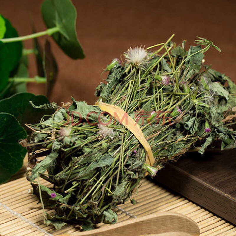 野生中草药材一点红叶下红羊蹄草红背草250克起 500克