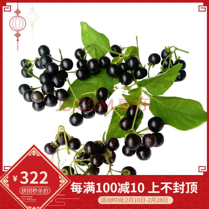 顺丰 新鲜龙葵果 东北黑悠悠 黑黝黝果黑天天 黑星星 500g