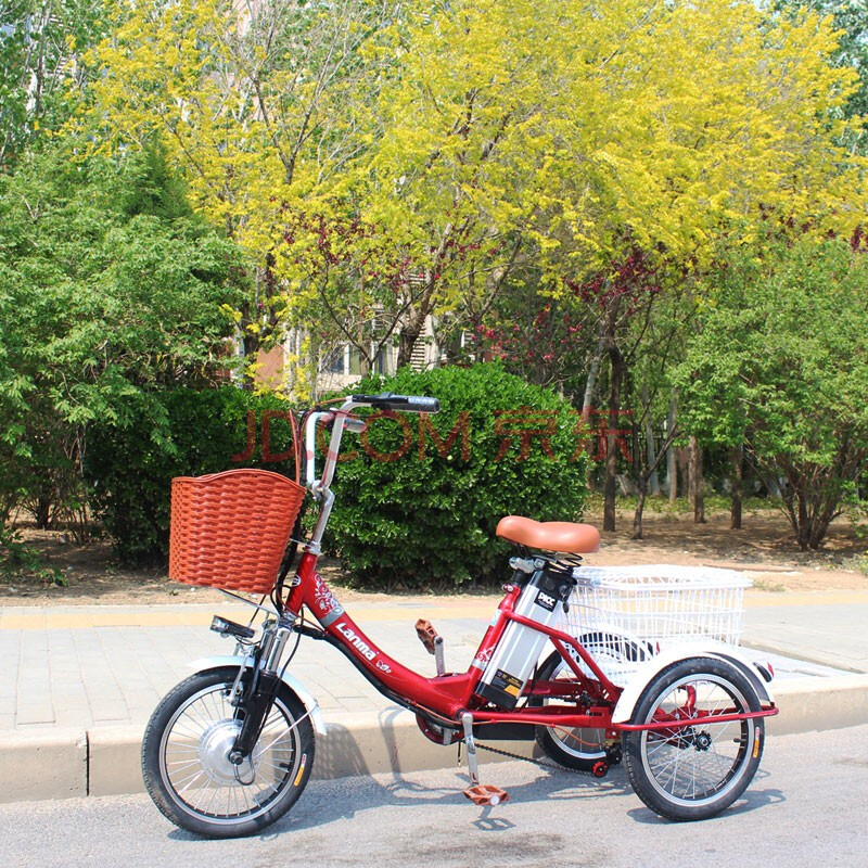 电动三轮车小型16寸20寸老年代步车电动助力人力三轮锻炼身体 20天