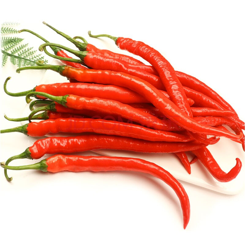 【发货中】二荆条 新鲜红线椒香辣 青辣椒 2斤红二荆条