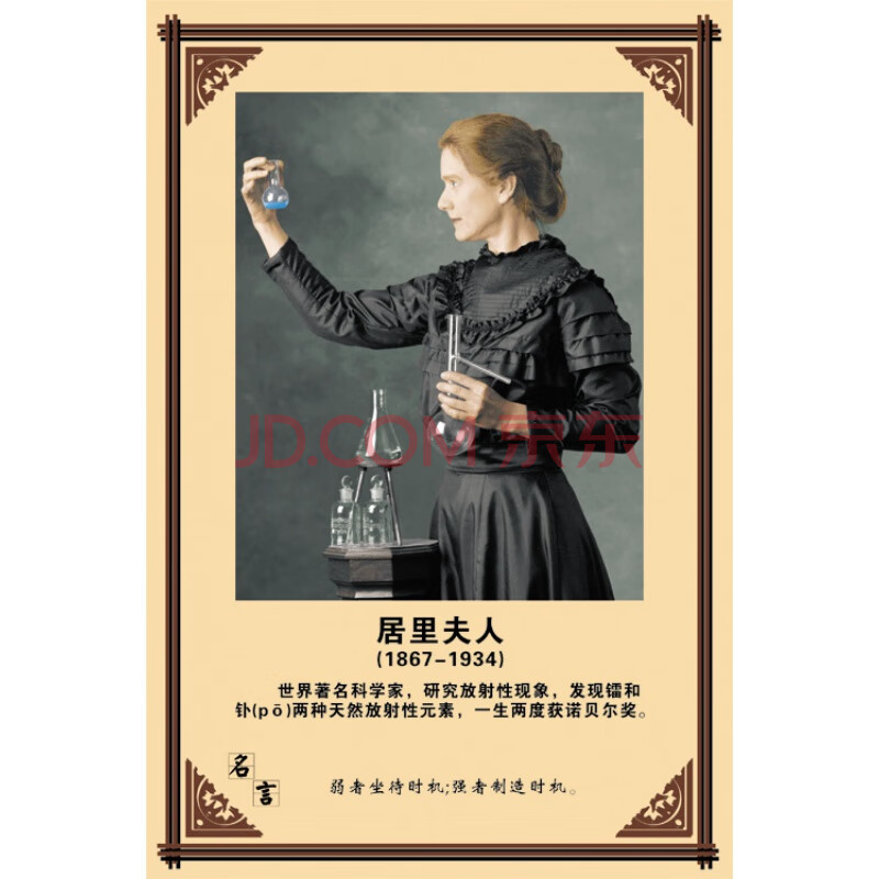 爱迪生居里夫人牛顿海报教室装饰励志简介画像 mrmy127居里夫人 30x