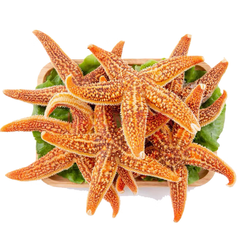 海星海鲜鲜活水产满籽大个五角星海五星熟冻活的青岛泛滥新鲜 6斤
