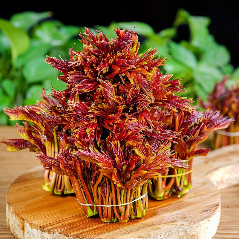 红香椿芽新鲜2斤头茬红油香椿叶野生春芽菜新鲜蔬菜青菜 1斤尝鲜装
