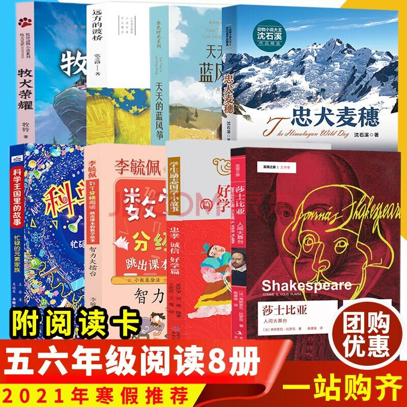童书 儿童文学 tt可选2021寒假五六年级阅读 黄金周末 远方的渡桥 牧