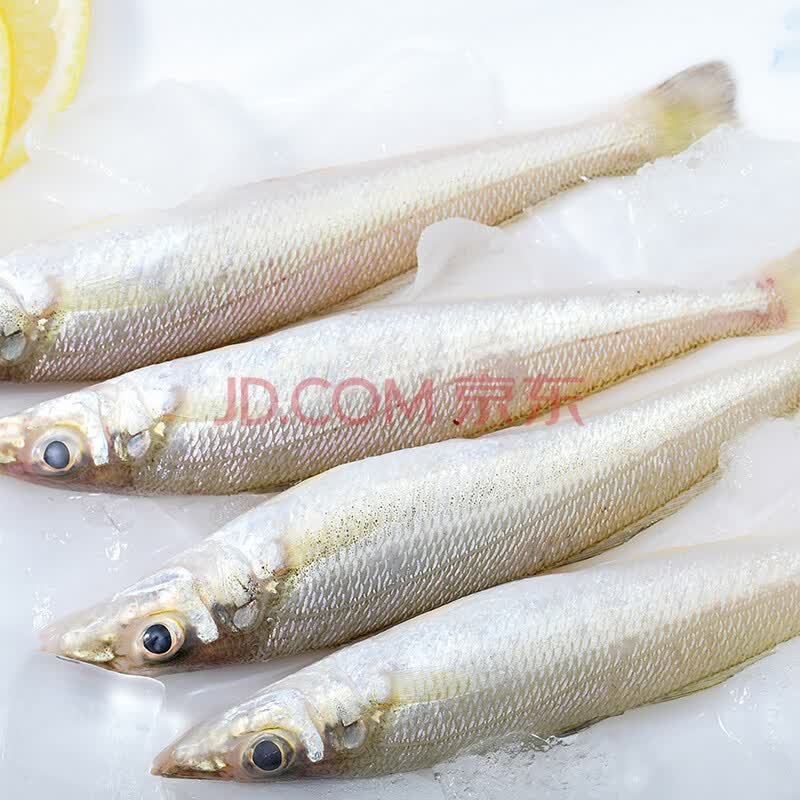 【渔大吉】沙锥鱼沙丁鱼湛江海鲜水产近海捕捞海鱼沙追鱼400g*5包