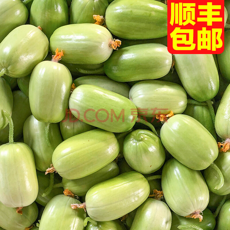 拇指黄瓜 5斤生吃水果山东寿光牛奶金童玉女白玉东北旱5斤顺丰 2500g