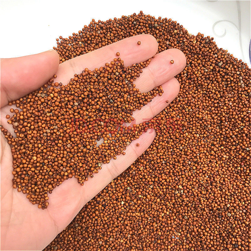 红粟米鸭脚粟红小米粟米粉小米粥枕头广西500