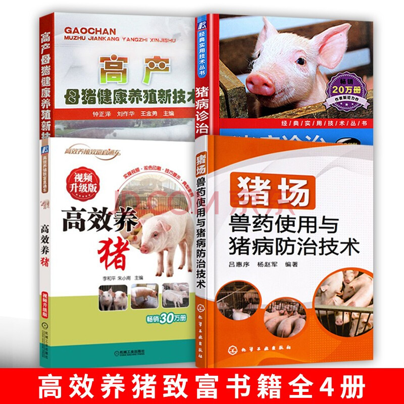 高效养猪技术大全书籍 高效养猪 高产母猪健康养殖新技术 猪病诊治一