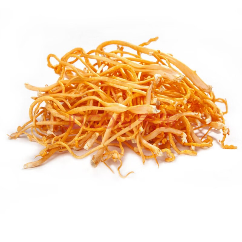 新鲜虫草花 新鲜野生菌 新鲜蛹金虫草北虫草0.