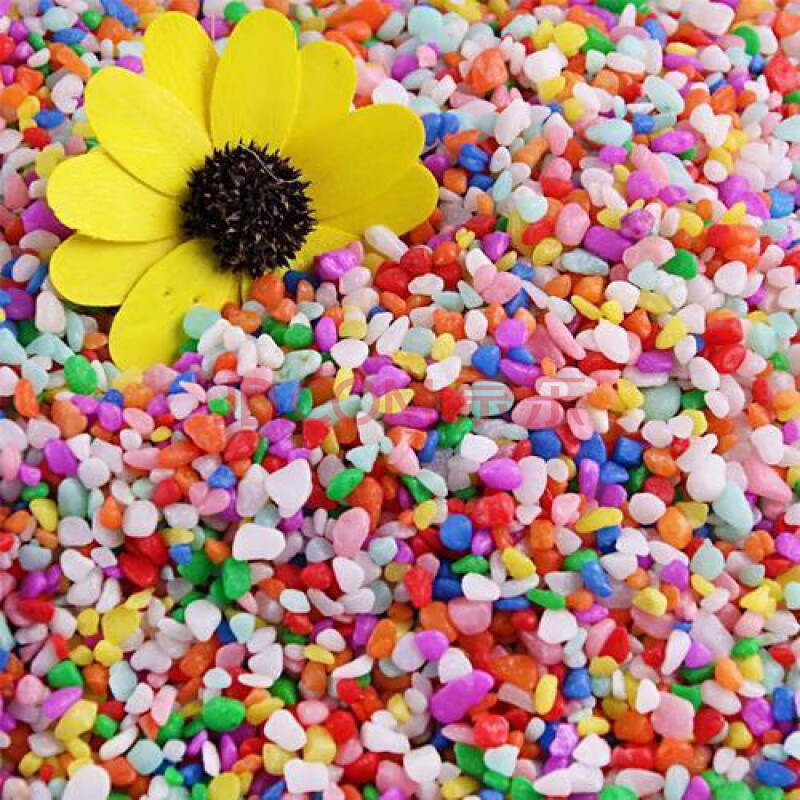 常用尺寸彩石子多肉铺面白色五彩石花盆园艺植物装饰多肉植物 小彩石