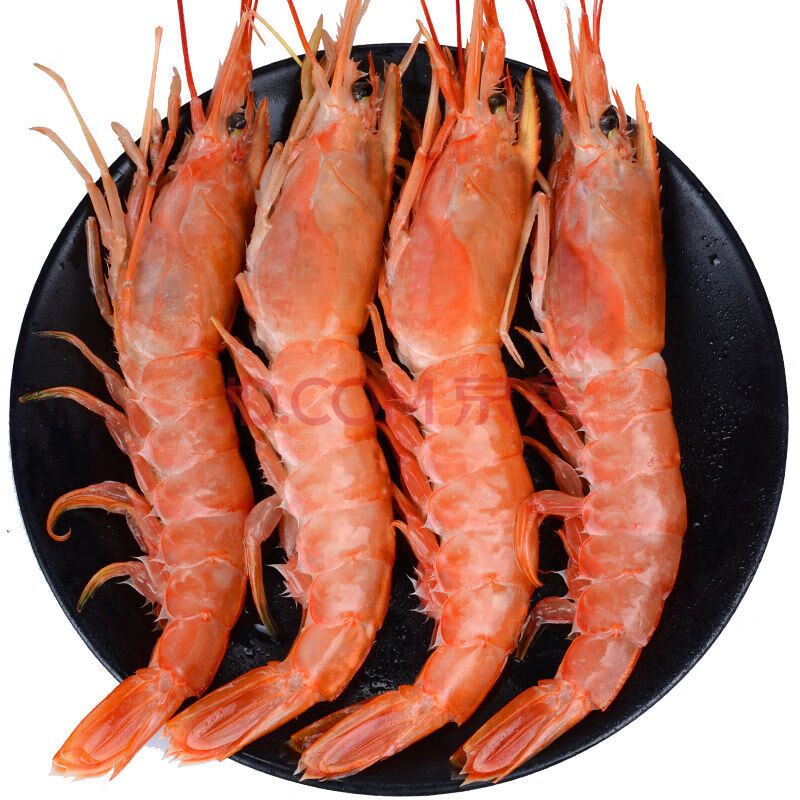 红虾海捕虾鲜活冷冻新鲜大虾 4斤活动装