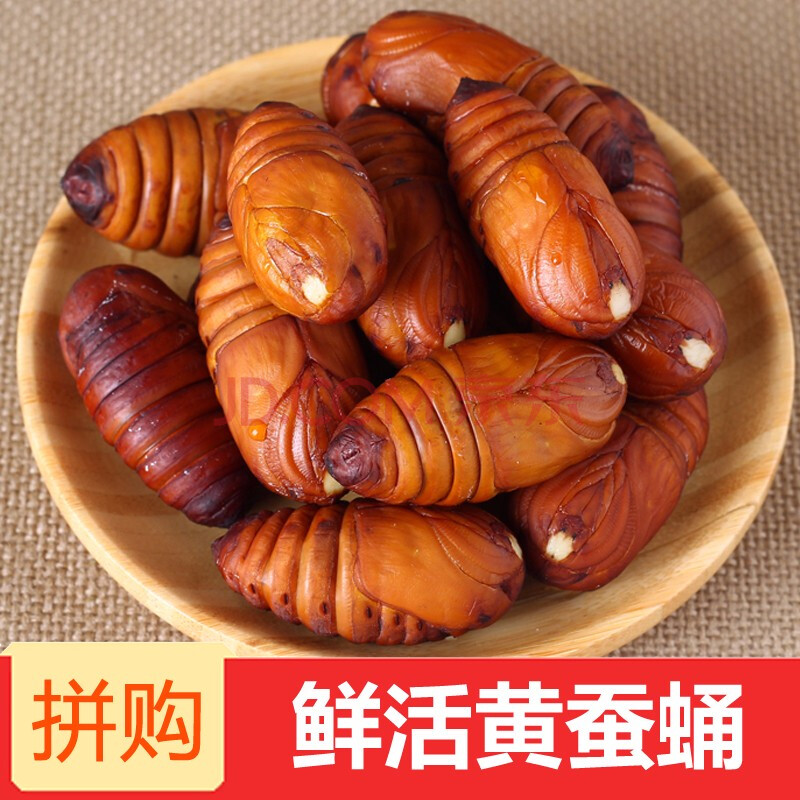 新鲜活蚕蛹 东北辽宁特产柞蚕蛹 大黄黑茧蛹知了高蛋白质 黄蚕蛹 3斤