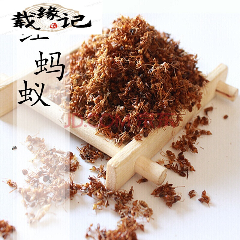 长白山 红蚂蚁 个大干净 250克 今年新货