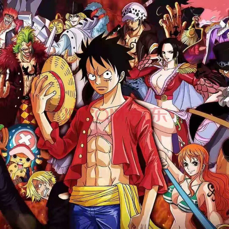 新品海贼王二【图片 价格 品牌 报价】-京东