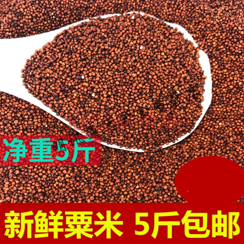 广西粟米粒龙爪粟拳头粟小枕头鸭脚粟米粥鸭脚栗米红色粟米粉