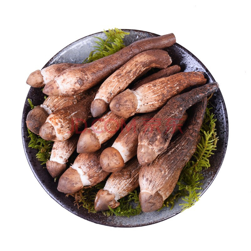 云南野生山珍菌菇新鲜鸡枞菌精挑不开伞火把鸡枞菌现货荔枝菌500g