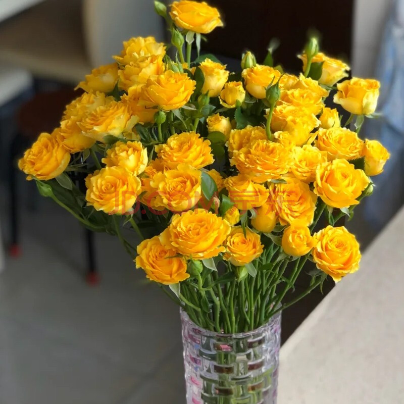 花集配 多头玫瑰 等级柠檬泡泡 黄色 10支/扎 a级