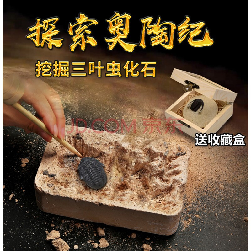 玩具挖掘矿石天然水晶寻宝石挖宝藏探秘化石标本钻石盲盒 挖掘三叶虫