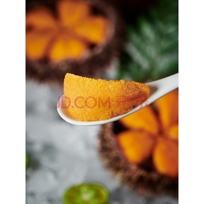 现捞现发新鲜马粪海胆鲜活即食新鲜食材料海胆刺身生鲜水产活鲜