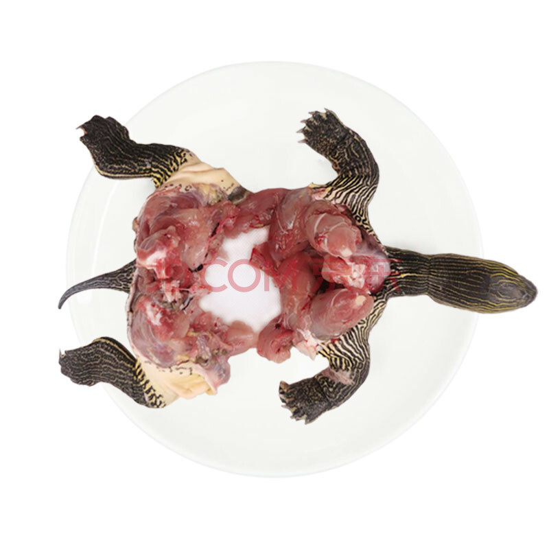 草龟肉生鲜食用乌龟肉新鲜速冻冷冻外塘中华草龟王八老龟土龟500g