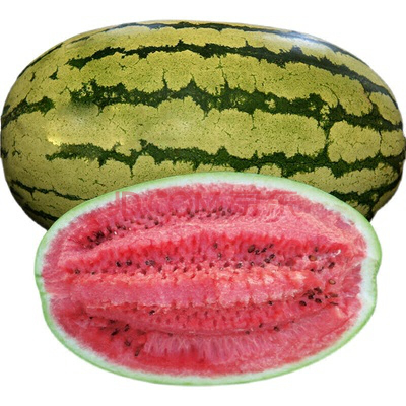 宁夏硒砂西瓜中卫富硒新鲜10-14斤当季水果沙地大甜石头缝瓜整箱团建