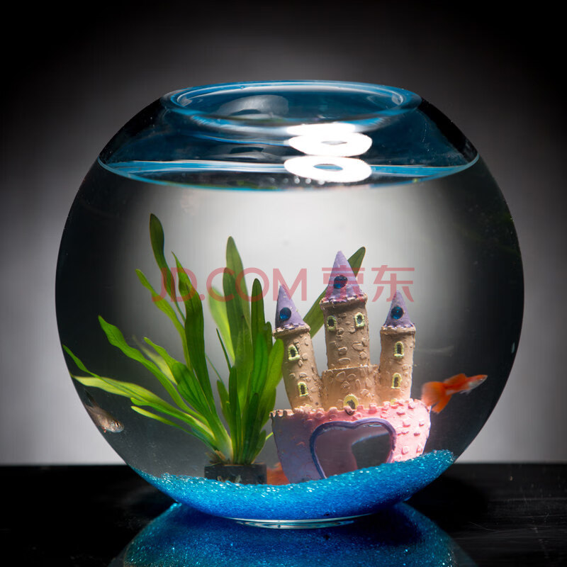 浙宠玻璃鱼缸客厅小型圆形创意桌面加厚金鱼缸生态造景家用懒人斗鱼缸