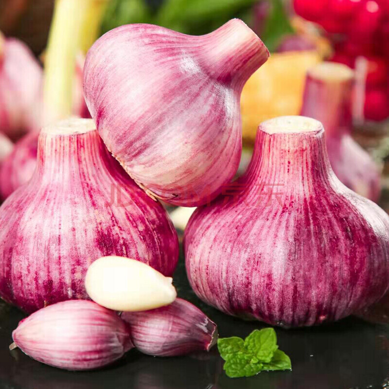 新鲜紫皮大蒜多瓣大蒜头5斤农家新鲜蔬菜 10斤