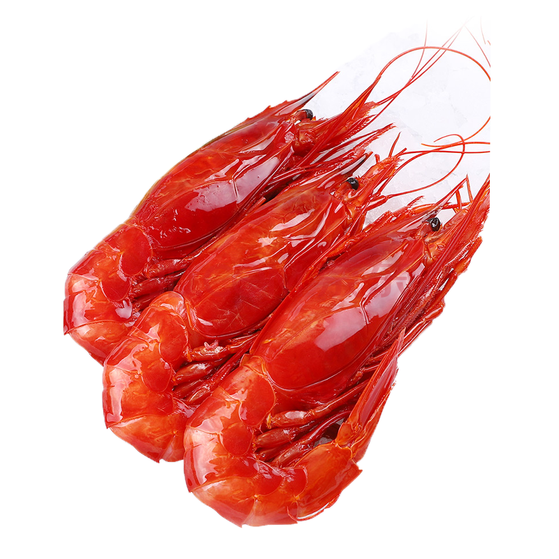 西班牙红魔虾超大海捕新鲜刺身特大鲜活零号莫桑比克8只生呛红虾 1000