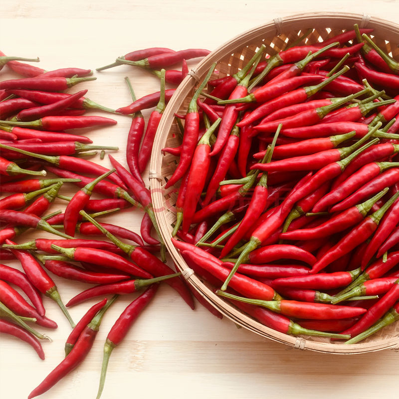 新鲜小米红辣椒红小米椒批发 现摘现发朝天椒 小米椒带箱3斤