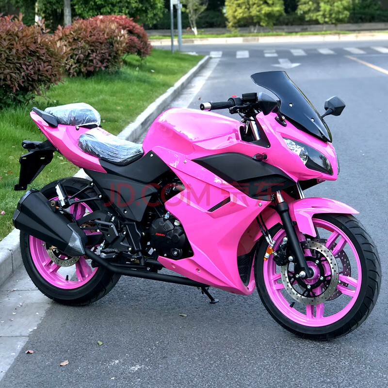 国四250双缸水冷电喷重型机车摩托车跑车小忍者整车可上牌地平线 粉色
