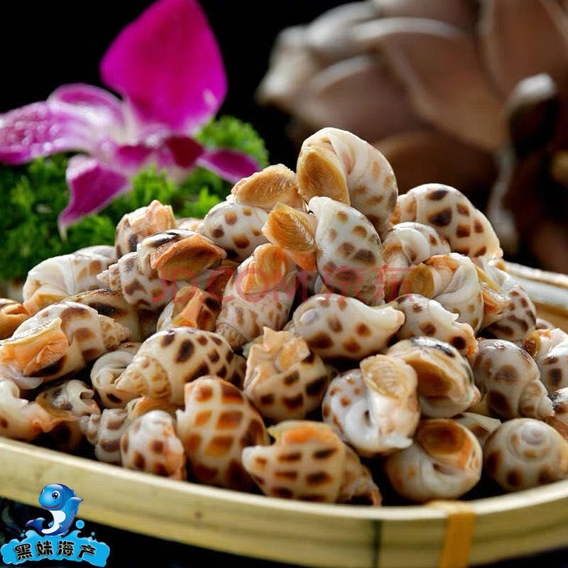 海鲜大花螺鲜冻新鲜花螺海螺东风螺个大无沙肉粒饱满 鲜琛觅 四斤