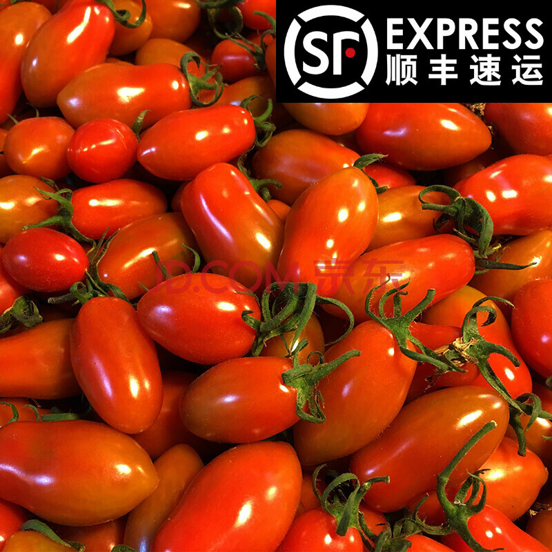 丹东特产新鲜水果409小柿子圣女果牛奶草莓小番茄花生柿子孕妇 5斤装