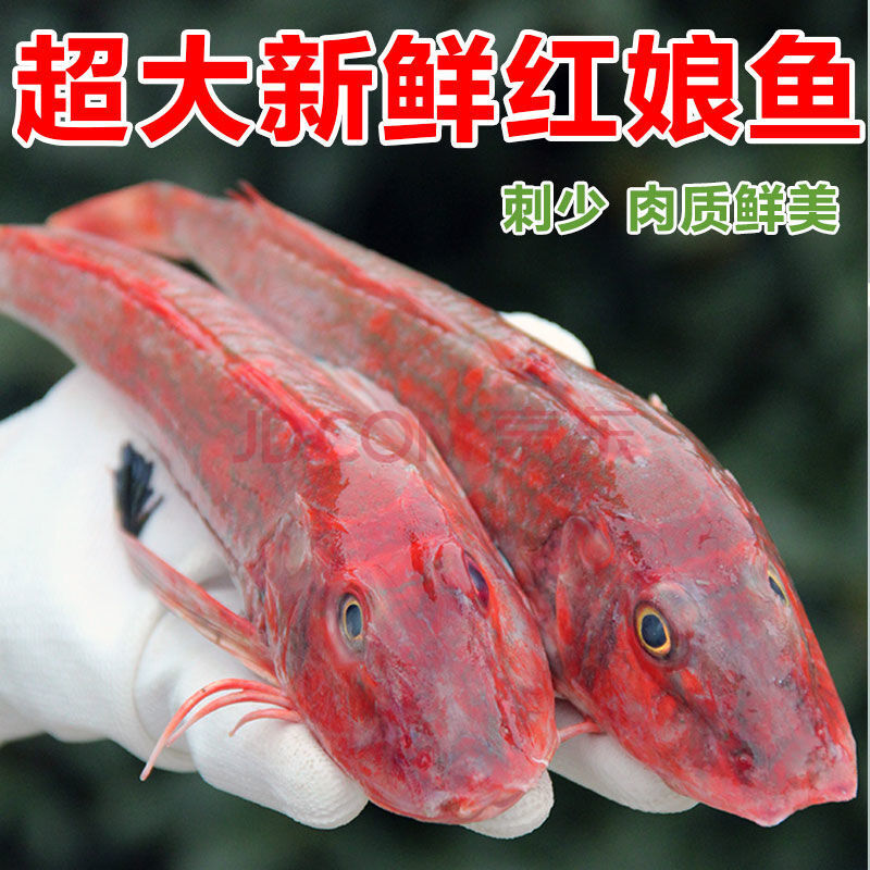 红头鱼海捕海鱼新鲜冷冻生鲜红鱼红娘子红娘鱼大 宏嘉睿 净重5斤(规格
