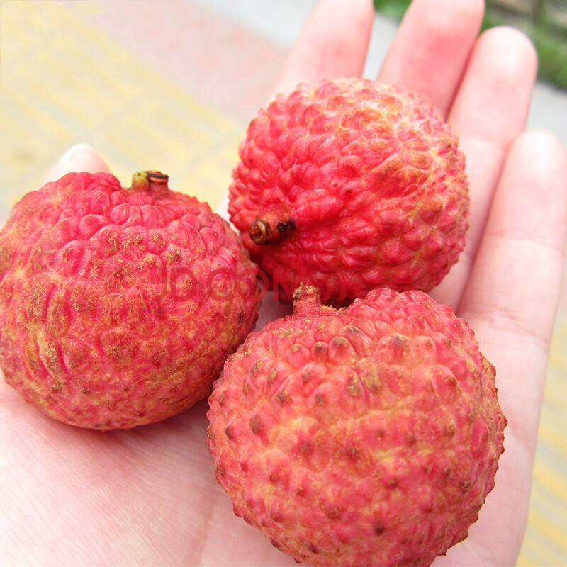 深圳南山糯米糍荔枝糯米滋新鲜增城当季水果 3斤