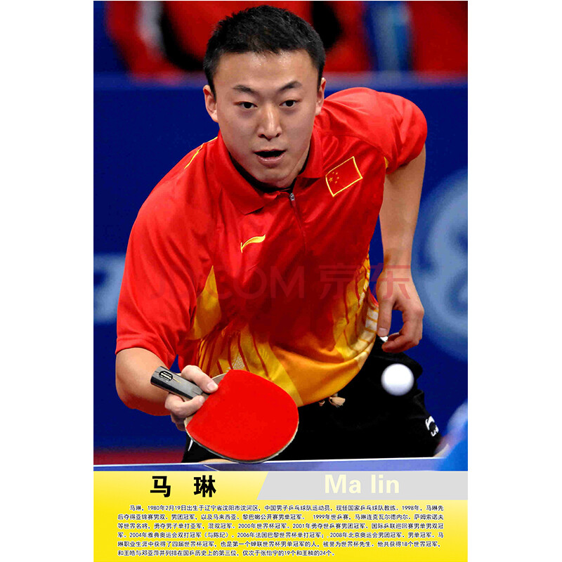 乒乓球运动员球室海报体育明星张继科刘诗雯孙颖莎墙贴纸贴画挂画